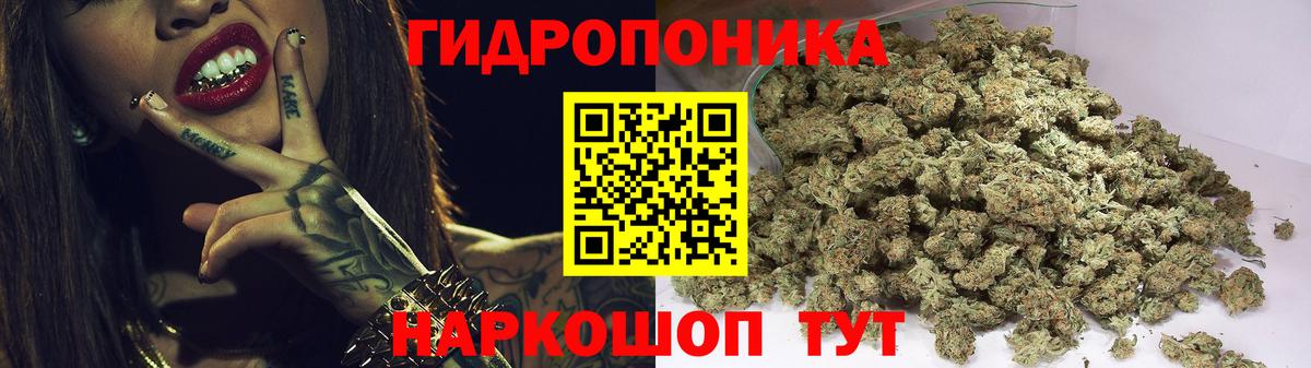 Бошки марихуана Ganja  Конопля SATIVA & INDICA  Вход с VPN  Александров  Шишки марихуана THC 21% 